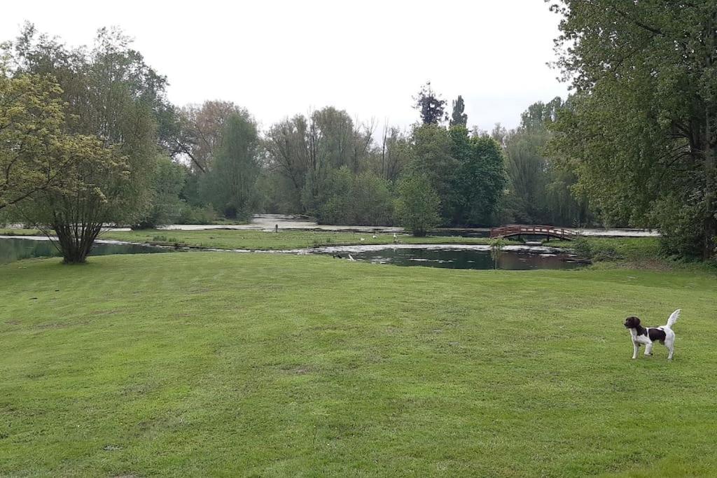 Adorable Maison D'Hotes Bordee D'Etangs Au Calme. Grandcourt  Zewnętrze zdjęcie